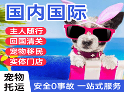 九寨黄龙机场物流国际宠物托运 【国